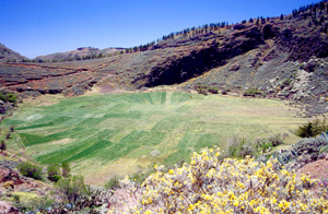 Im Osten von Gran Canaria ligt die Caldera de los Marteles