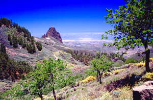 Foto von Gran Canaria mit Blick nach Norden mit Las Palmas im Hintergrund