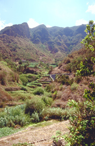 Bild vom Barranco del Cedro