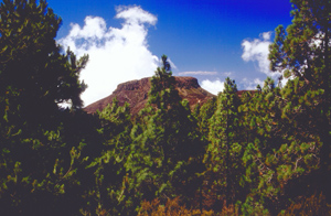 Bild vom Zentrum von La Gomera liegt die Fortaleza de Chipude