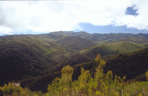 Bild von der höchsten Erhebung auf La Gomera, Garajonay