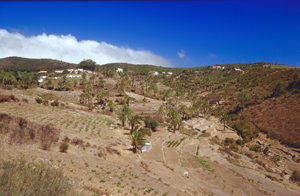 Bild vom kleinen Ort Hayas am oberen Ende des Valle Gran Rey