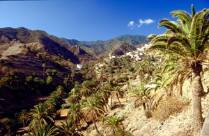 Foto vom Barranco de la Villa im Westen von San Sebastian La Gomera, Barranco de la Villa im Westen von San Sebastian de la Gomera