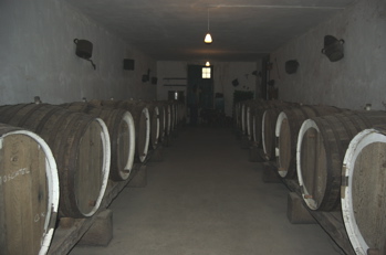 Weinkeller, Bodega Kanaren