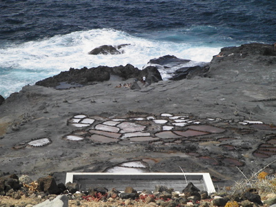 Foto der Salinas de Arucas