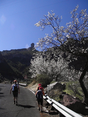 Strasse nach La Culata im Zentrum von Gran Canaria