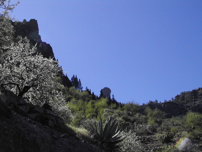 Roque Nublo oberhalb von Tejeda
